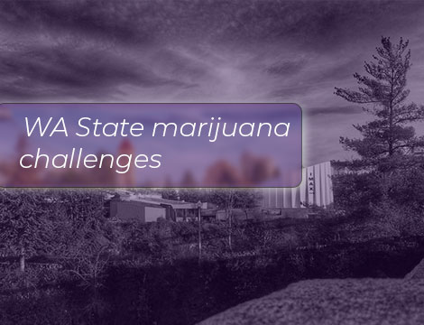 Washingtons State Marijuana Industry challenges
