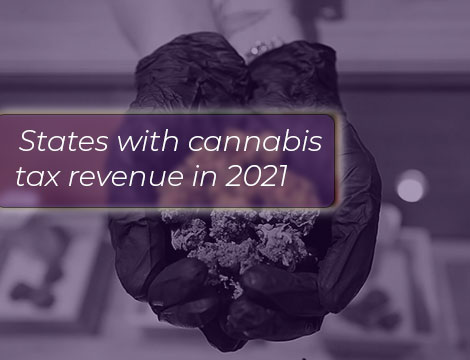 Recreational marijuana sales showered states with cash in 2021